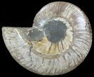 Cut Ammonite Fossil (Half) - Agatized #69042-1